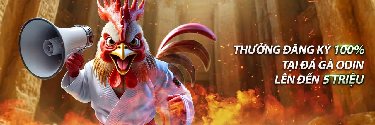 Hình ảnh giới thiệu wstar77 win, nền tảng cá cược trực tuyến hàng đầu Việt Nam